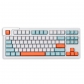 Salmon 104+9 GMK ABS Doubleshot Double Shot Keycaps Set for Cherry MX Mechanical Gaming Keyboard